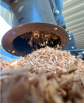 Large Scale Trial Image