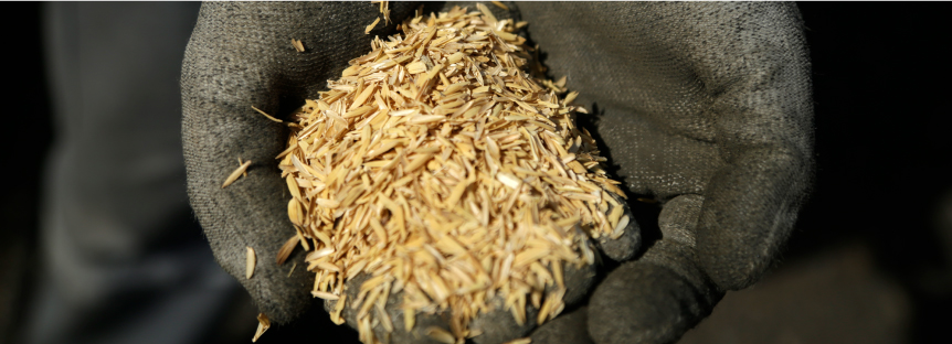 Feedstock image