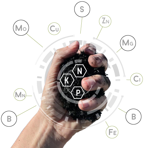 Product Development Graphic