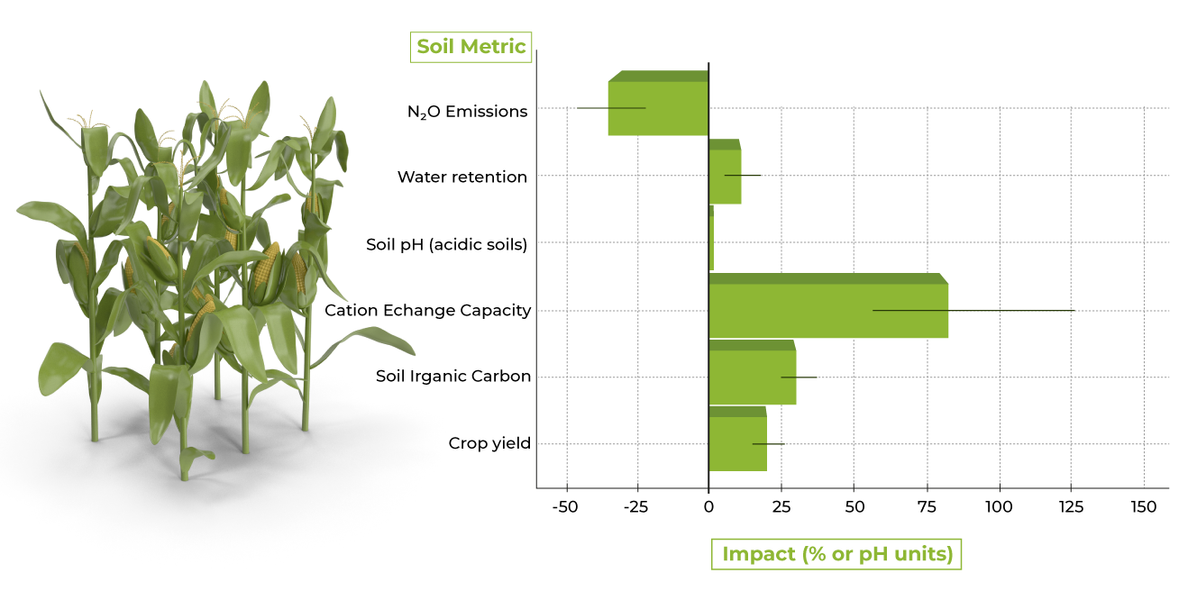 Graphic Evidence of Biochar Benefits
