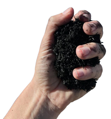 Hand