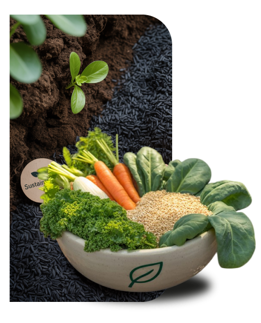 Food Bowl Image